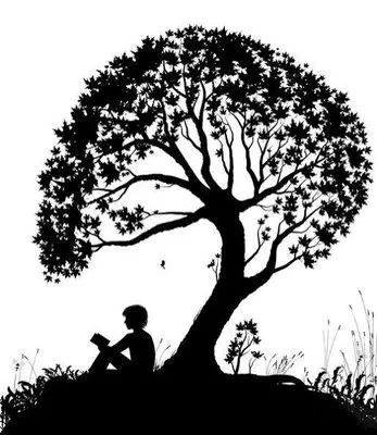 Johnnys Trees and Landscaping