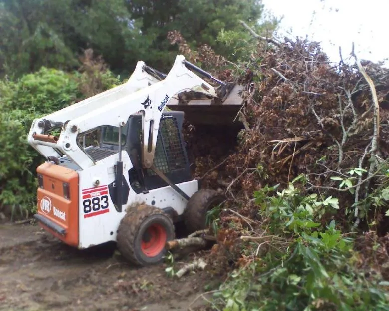 Professional yard cleanup service experts serving Barnesville, GA - Johns Bobcat Service