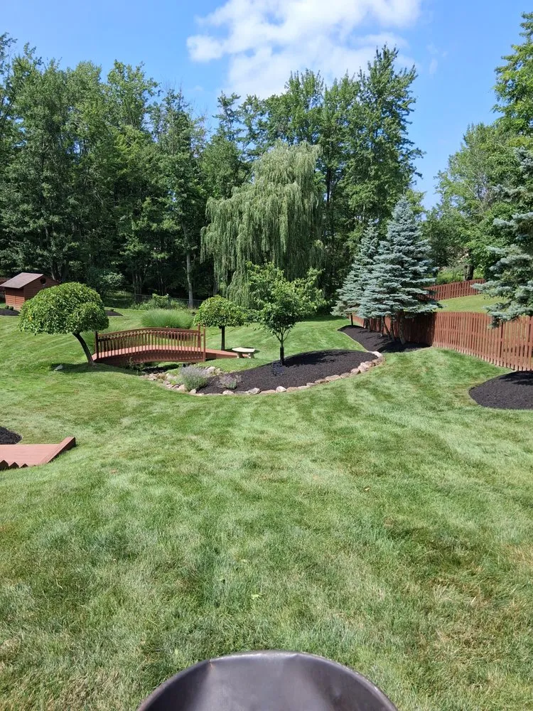 Professional yard maintenance in Parma Heights, OH by John's Clean Up Yard and All
