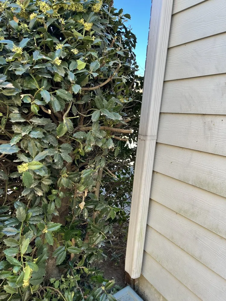 Affordable residential landscaping in Johns Creek, GA by Johns Creek Lawn Care