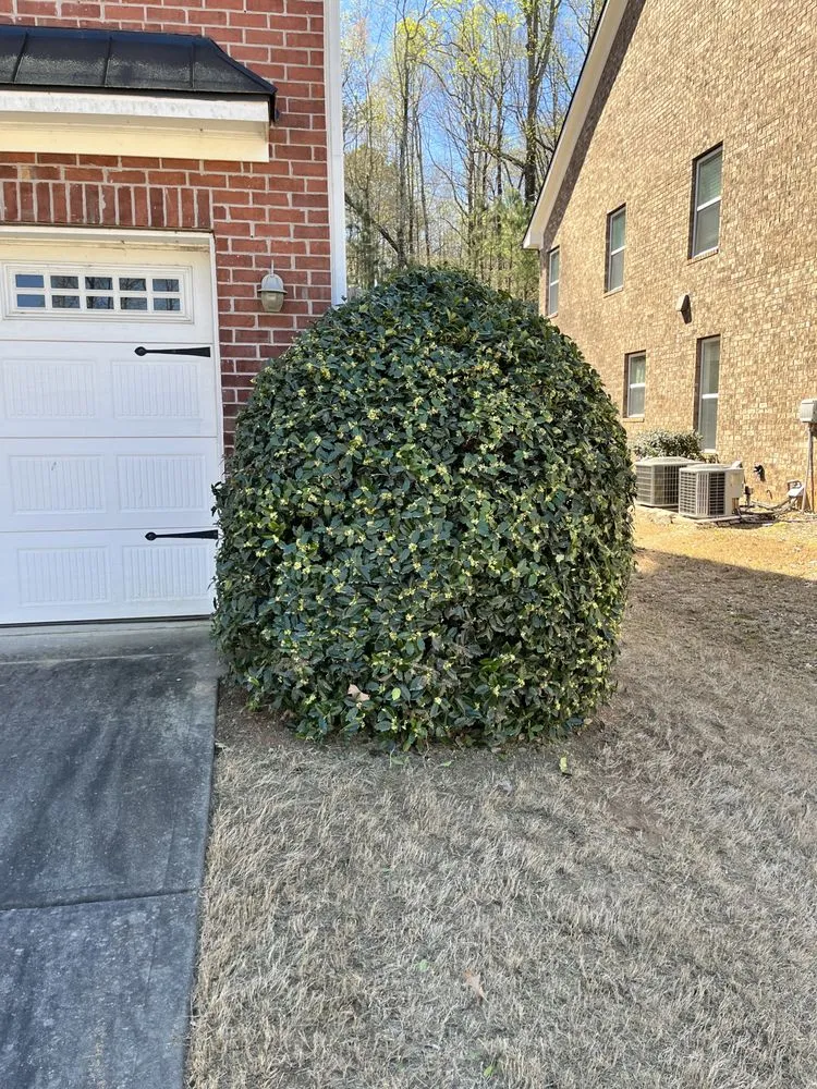 Expert lawn mowing service for year-round maintenance in Johns Creek, GA by Johns Creek Lawn Care