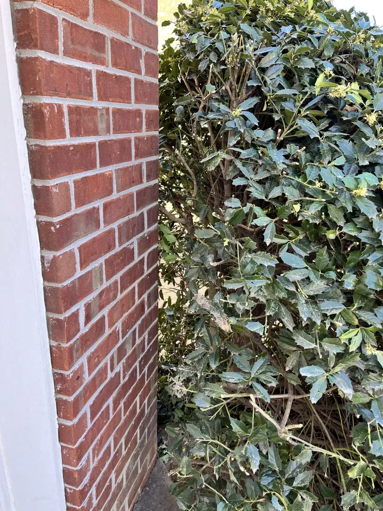 Professional landscaping services for beautiful yards across Johns Creek, GA - Johns Creek Lawn Care