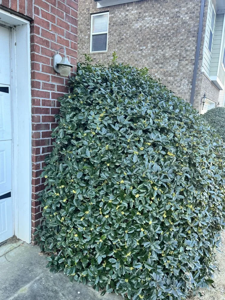 Reliable garden landscaping in Johns Creek, GA - Johns Creek Lawn Care