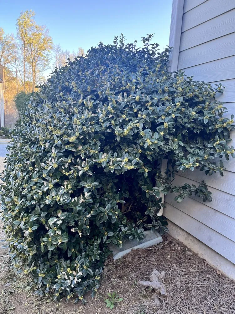 Affordable landscape installation for year-round maintenance across Johns Creek, GA - Johns Creek Lawn Care