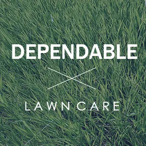 Affordable landscaping services in San Antonio, TX by John's Dependable Lawn Care LLC
