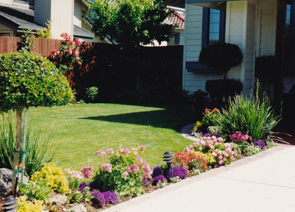 Trusted yard cleanup service experts serving Newman, CA - John's Gardening Service