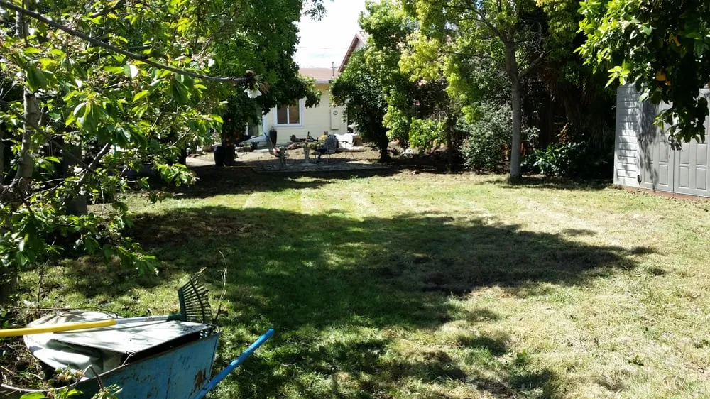 Expert yard maintenance for beautiful yards in Newman, CA by John's Gardening Service