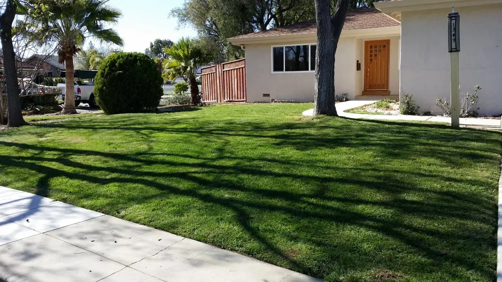 Custom garden landscaping for year-round maintenance across Newman, CA - John's Gardening Service