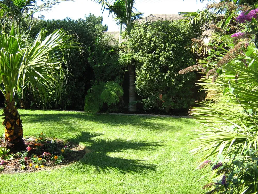 Top-rated landscape installation in Newman, CA by John's Gardening Service