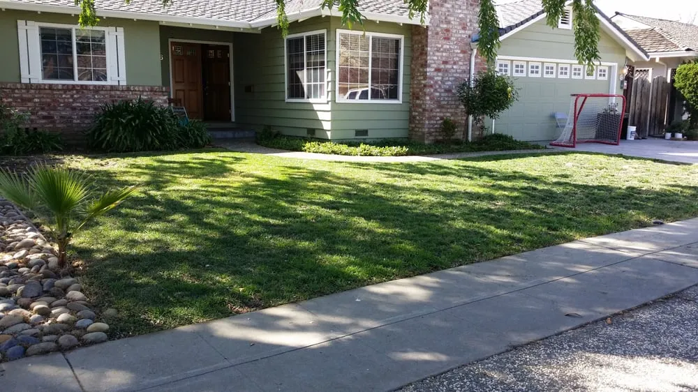 Reliable lawn mowing service in Newman, CA - John's Gardening Service