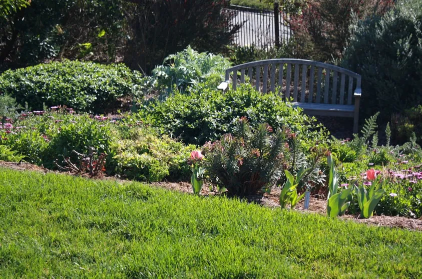 Reliable residential landscaping in Seaside, CA by John's Gardening Service