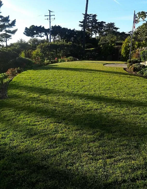 Top-rated residential landscaping in Seaside, CA by John's Gardening Service