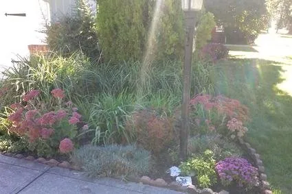 Top-rated yard cleanup service for homes in Lyndhurst, OH by John's Gardening Services