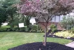 Reliable yard maintenance in Lyndhurst, OH - John's Gardening Services