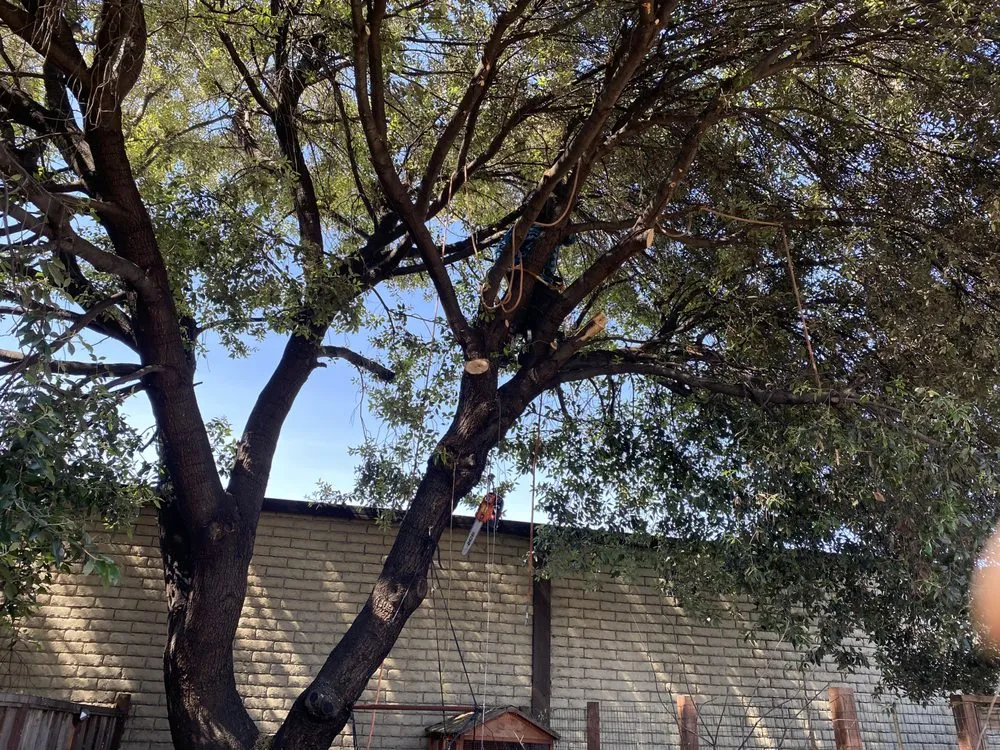 Top-rated garden landscaping for residential properties across Castro Valley, CA - John's Good Landscaping Services