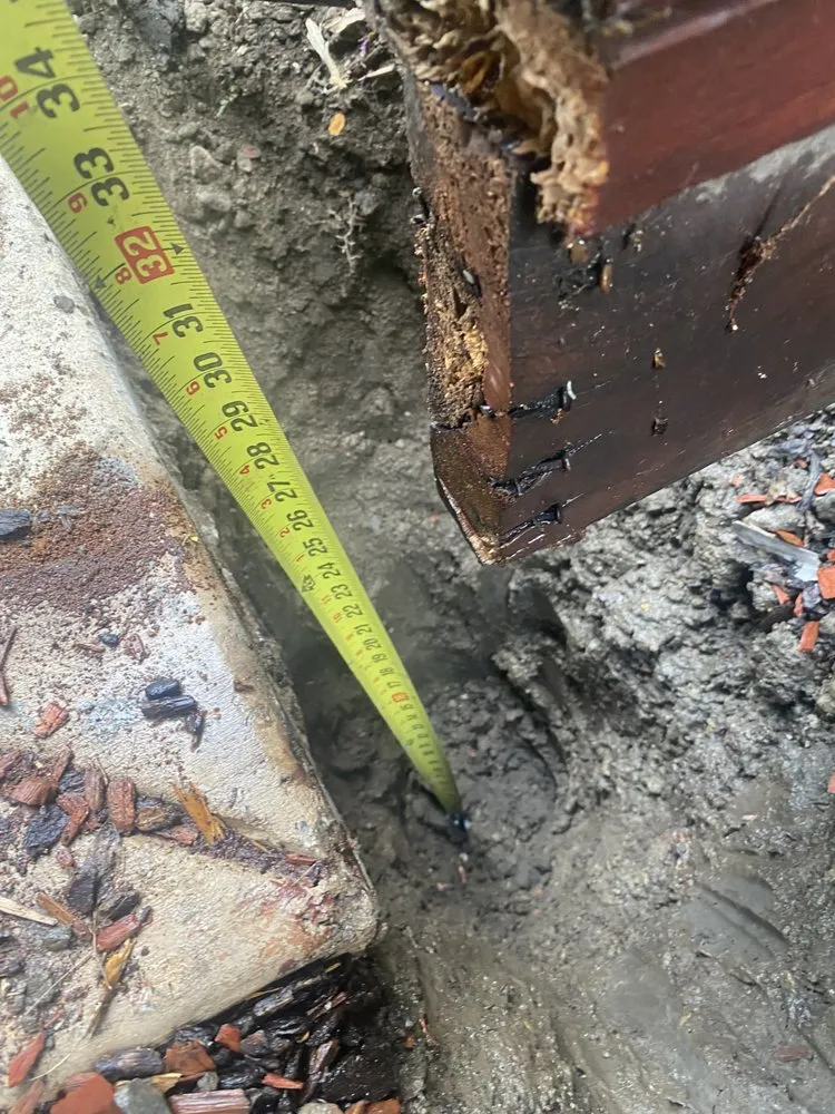 Top-rated landscape design in Castro Valley, CA by John's Good Landscaping Services