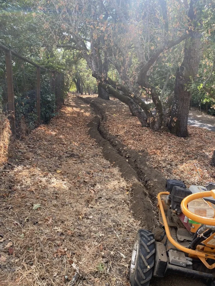 Trusted landscape design for year-round maintenance in Castro Valley, CA by John's Good Landscaping Services