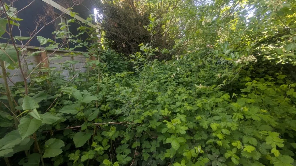 Top-rated lawn mowing service in Snohomish, WA - John's Handy Service