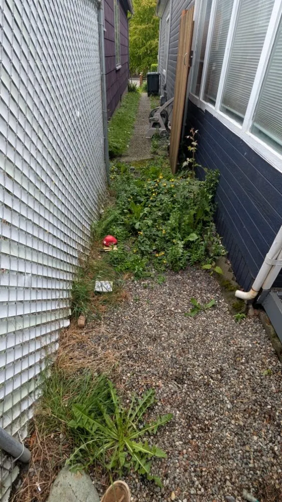 Local yard maintenance for outdoor upgrades across Snohomish, WA - John's Handy Service