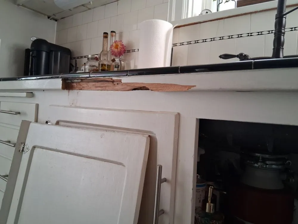 Top-rated yard maintenance in Snohomish, WA by John's Handy Service