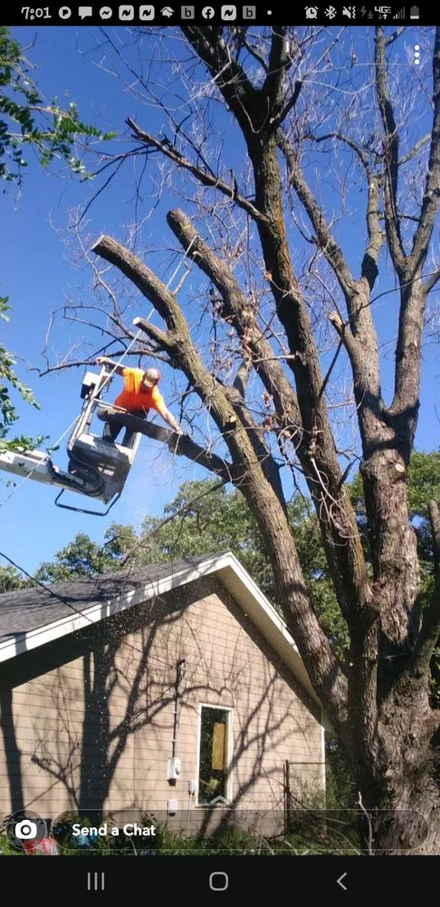 Local landscape installation in Belle Plaine, MN - Johns Landscape and Tree Services