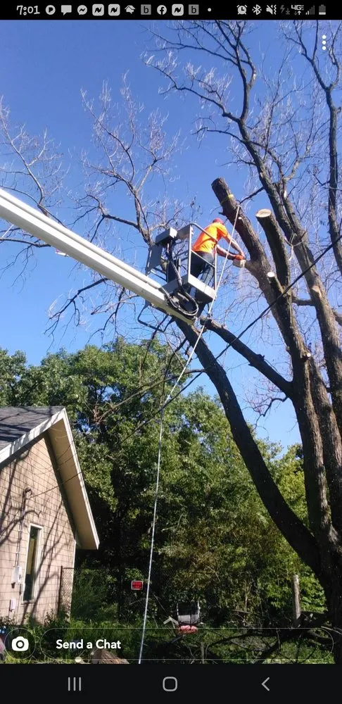 Local lawn care service in Belle Plaine, MN by Johns Landscape and Tree Services