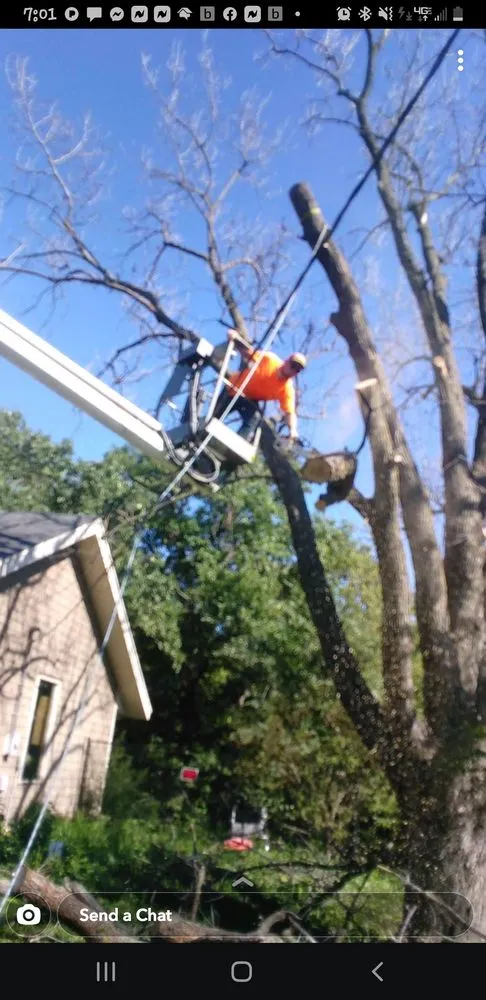 Local landscape design in Belle Plaine, MN by Johns Landscape and Tree Services