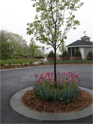 Professional lawn care service with custom design in Arlington, MA by John's Landscape Services