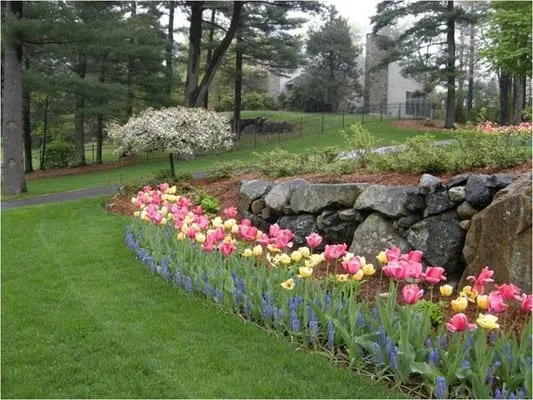 Expert outdoor landscaping in Arlington, MA - John's Landscape Services