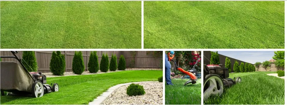 Reliable landscape installation for homes across Greensboro, NC - John's landscaping