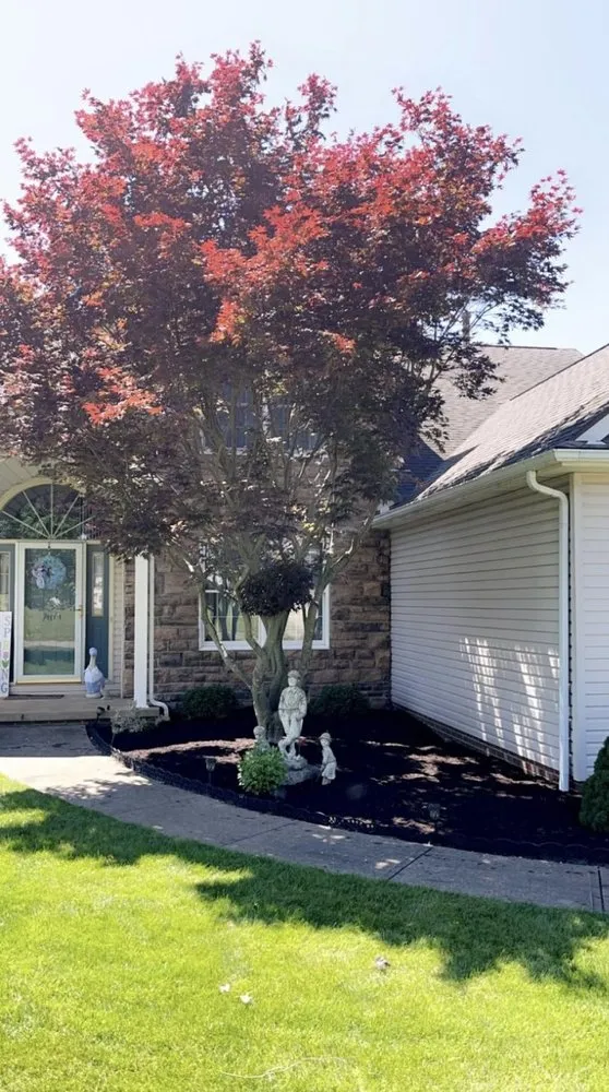 Top-rated landscape installation experts serving Kent, OH - John’s Landscaping