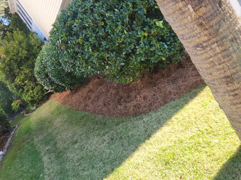 Custom yard cleanup service in Myrtle Beach, SC by John's Landscaping