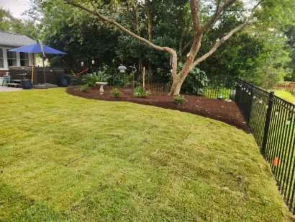 Trusted yard maintenance for homes in Myrtle Beach, SC by John's Landscaping