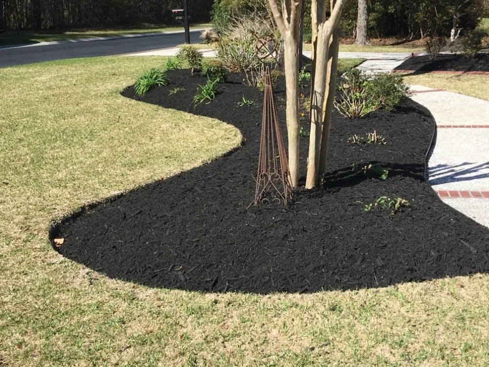 Top-rated landscaping services in Myrtle Beach, SC by John's Landscaping