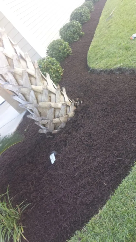 Top-rated yard cleanup service in Myrtle Beach, SC - John's Landscaping