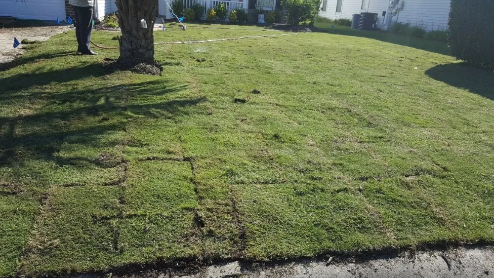 Reliable landscape design for year-round maintenance in Myrtle Beach, SC by John's Landscaping