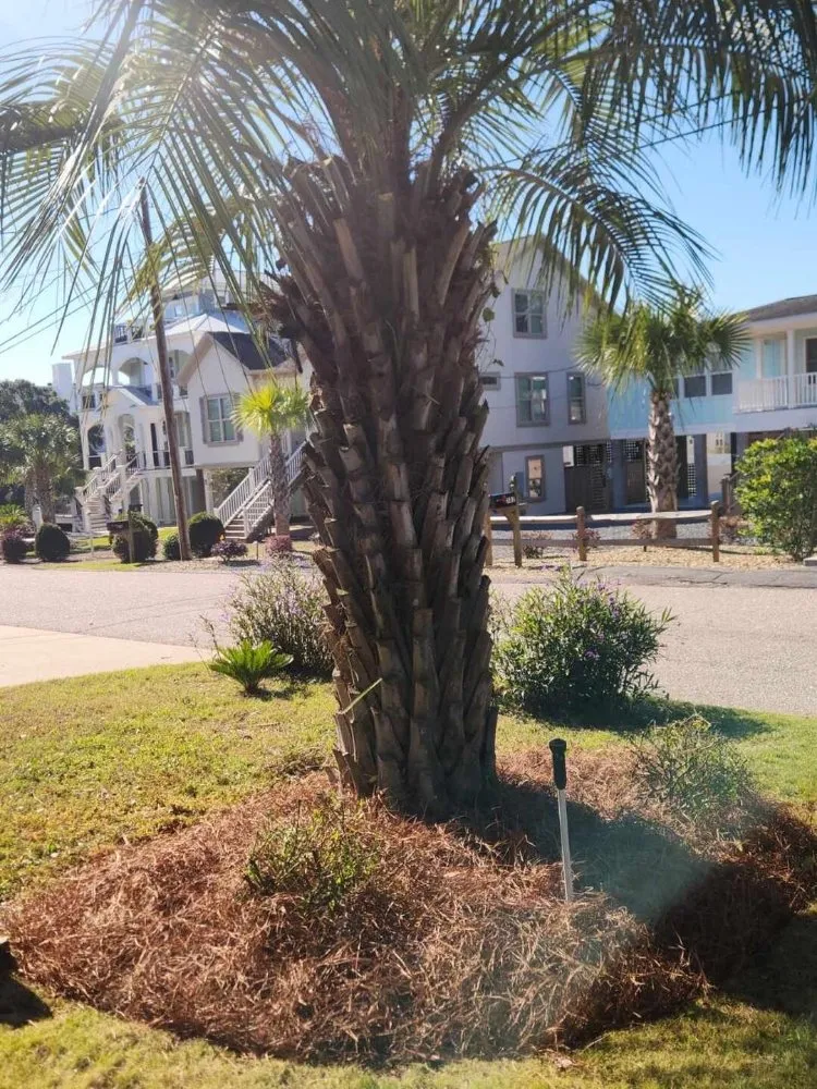 Local garden landscaping in Myrtle Beach, SC by John's Landscaping