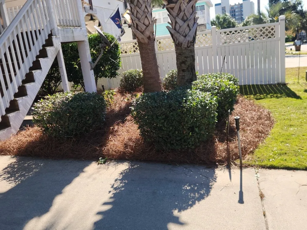 Professional lawn care service for outdoor upgrades across Myrtle Beach, SC - John's Landscaping