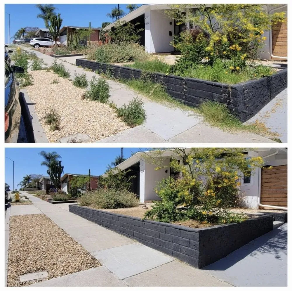 Professional landscape design for year-round maintenance across San Diego, CA - John's Lawn & Garden