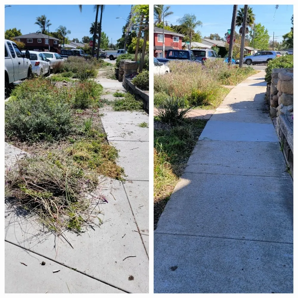 Reliable landscape installation in San Diego, CA - John's Lawn & Garden