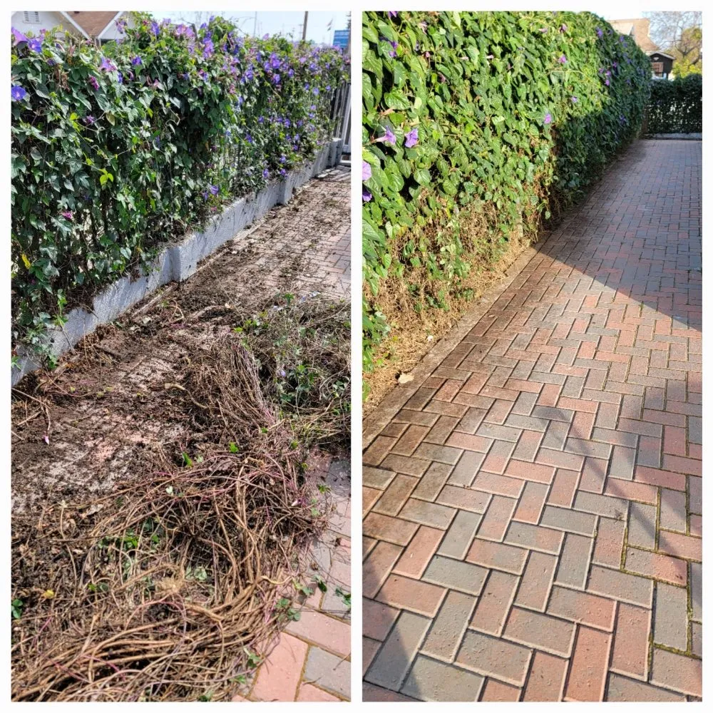 Local yard maintenance near you across San Diego, CA - John's Lawn & Garden