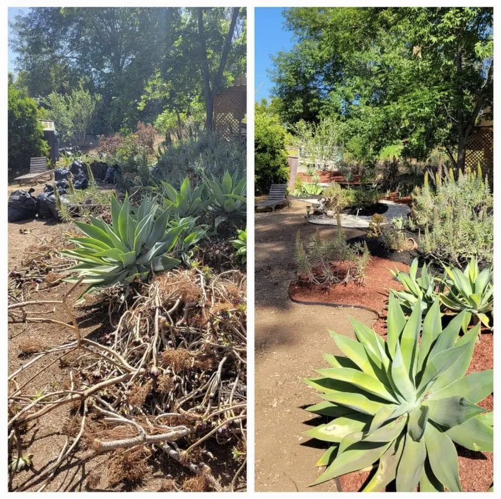 Reliable yard maintenance for year-round maintenance in San Diego, CA by John's Lawn & Garden