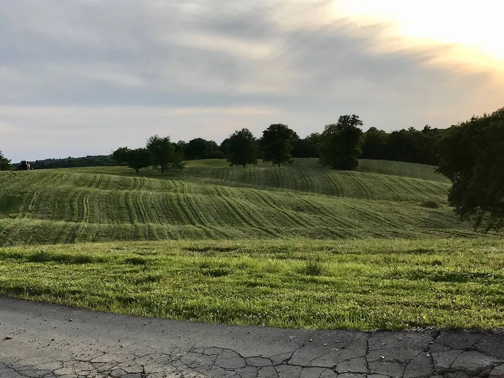 Professional yard cleanup service for outdoor upgrades across Frankfort, KY - John's Lawn and Landscaping