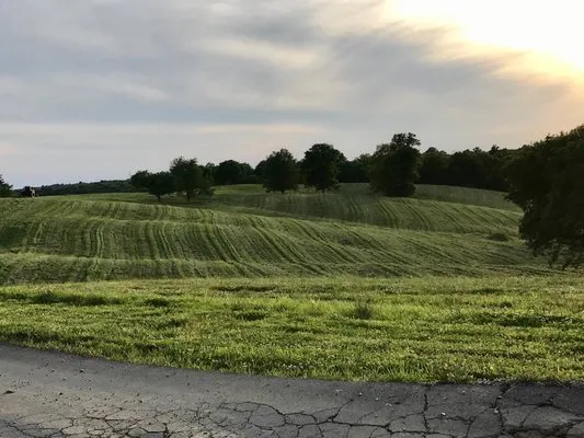 John's Lawn and Landscaping