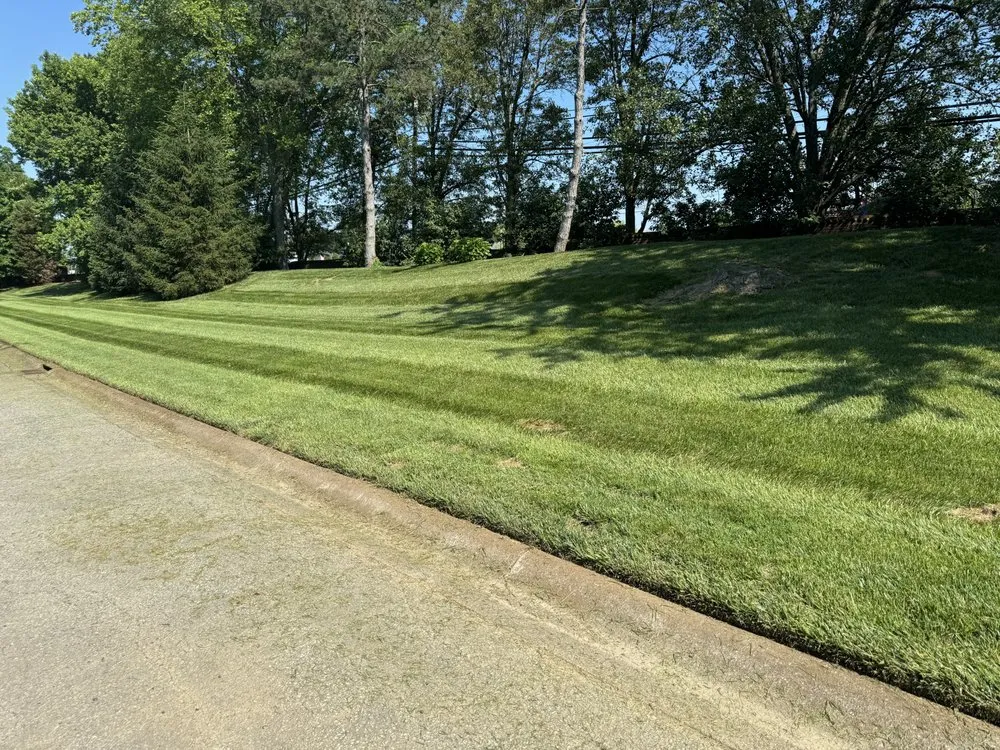 Affordable lawn mowing service in Louisville, KY - John’s Lawn Care And Pressure Washing