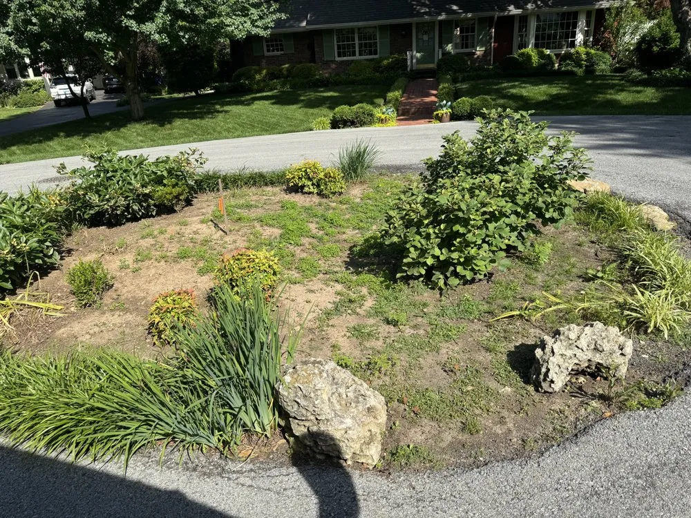 Custom yard cleanup service near you across Louisville, KY - John’s Lawn Care And Pressure Washing
