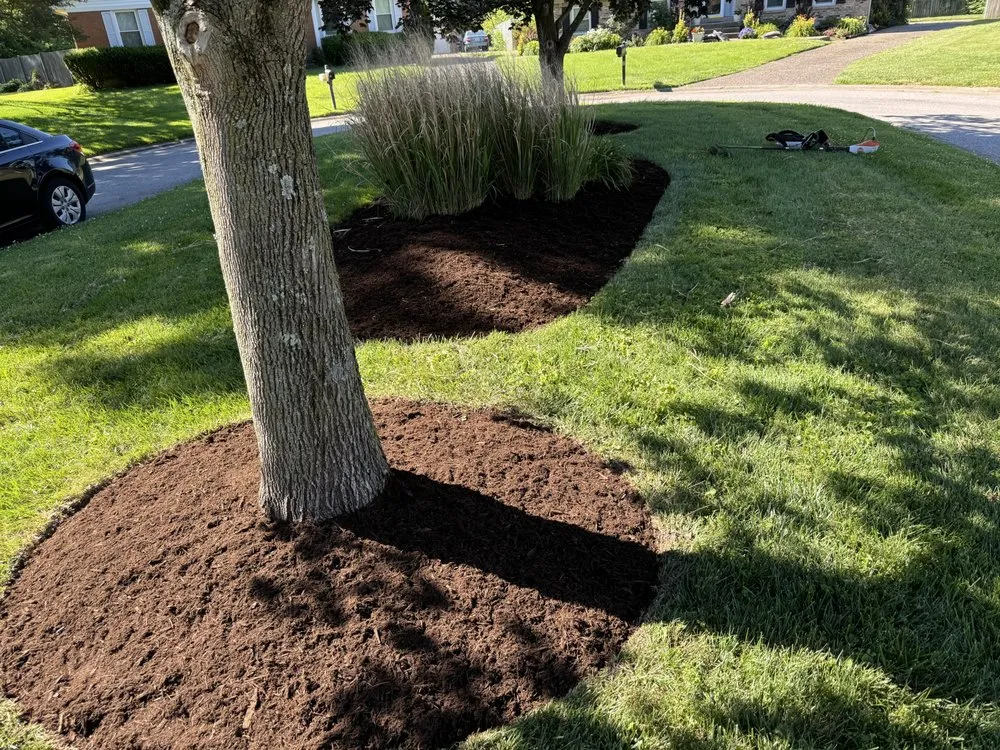 Top-rated residential landscaping experts serving Louisville, KY - John’s Lawn Care And Pressure Washing