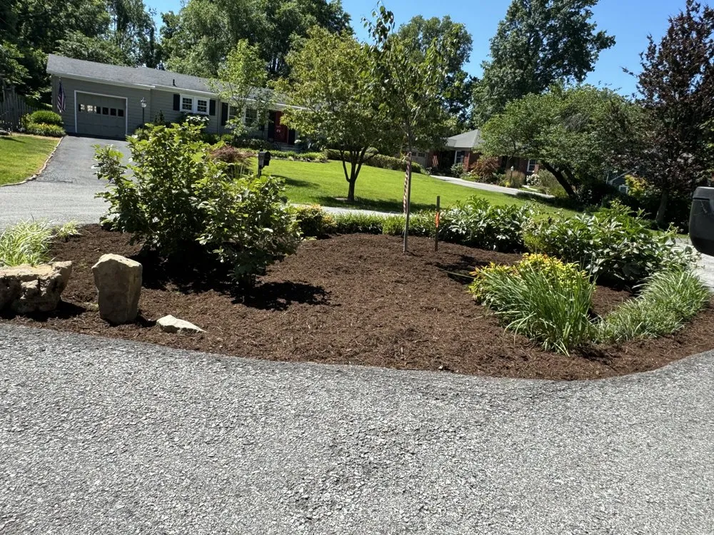 Professional lawn care service in Louisville, KY - John’s Lawn Care And Pressure Washing