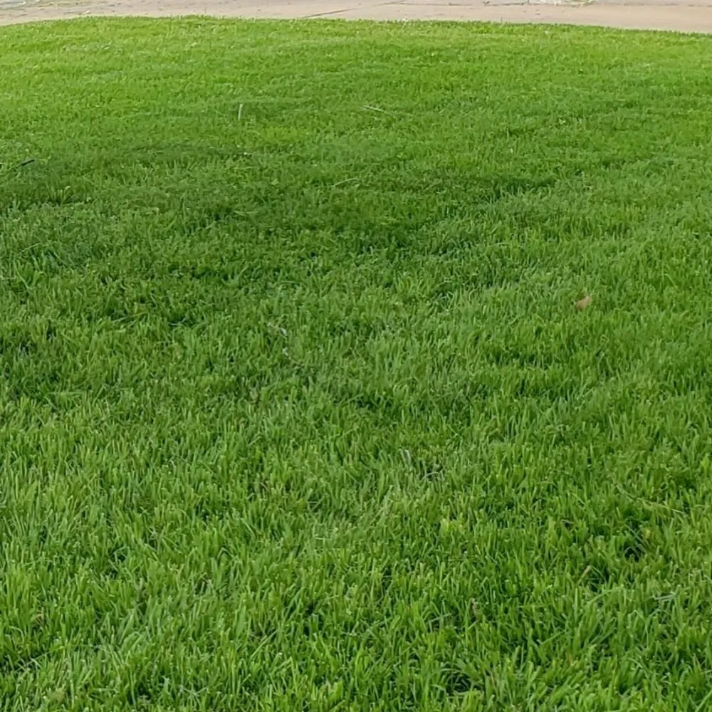 Professional lawn mowing service in Bartlesville, OK by Johns Lawn Care