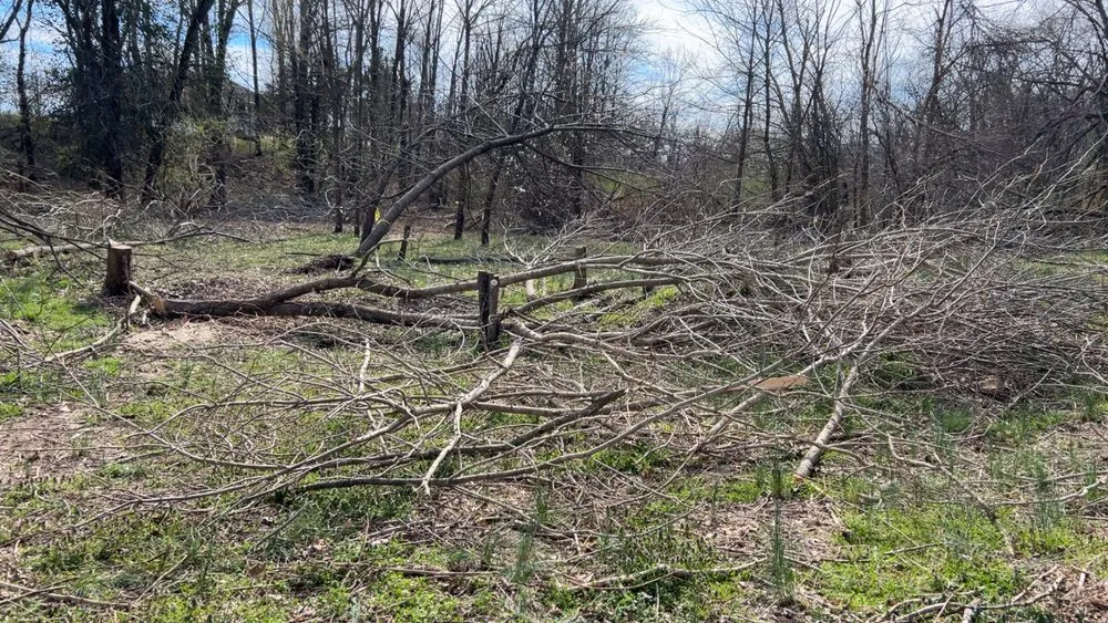 Professional landscaping services for homes in Perryville, MO by John’s Lawn Care